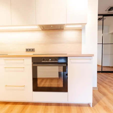 New Premium Apartments In The Old Town Of Вильнюс Экстерьер фото