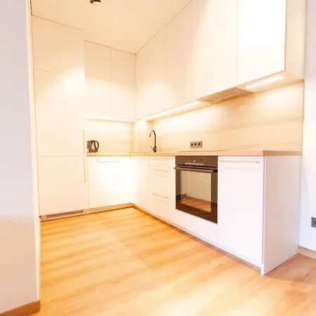 New Premium Apartments In The Old Town Of Вильнюс Экстерьер фото